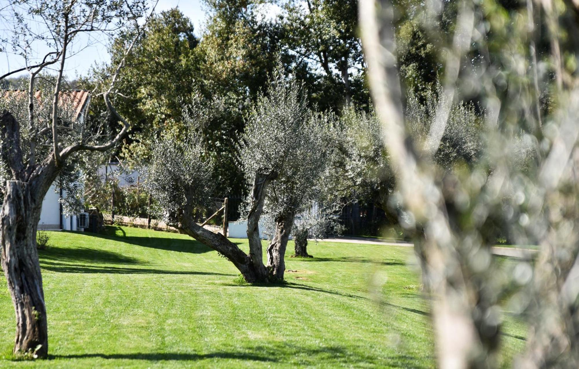 Vigna Caio Relais & (adults Only) Hotel *