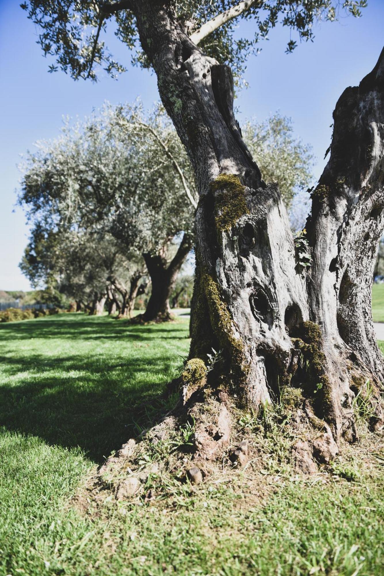 Vigna Caio Relais & (adults Only) Hotel *
